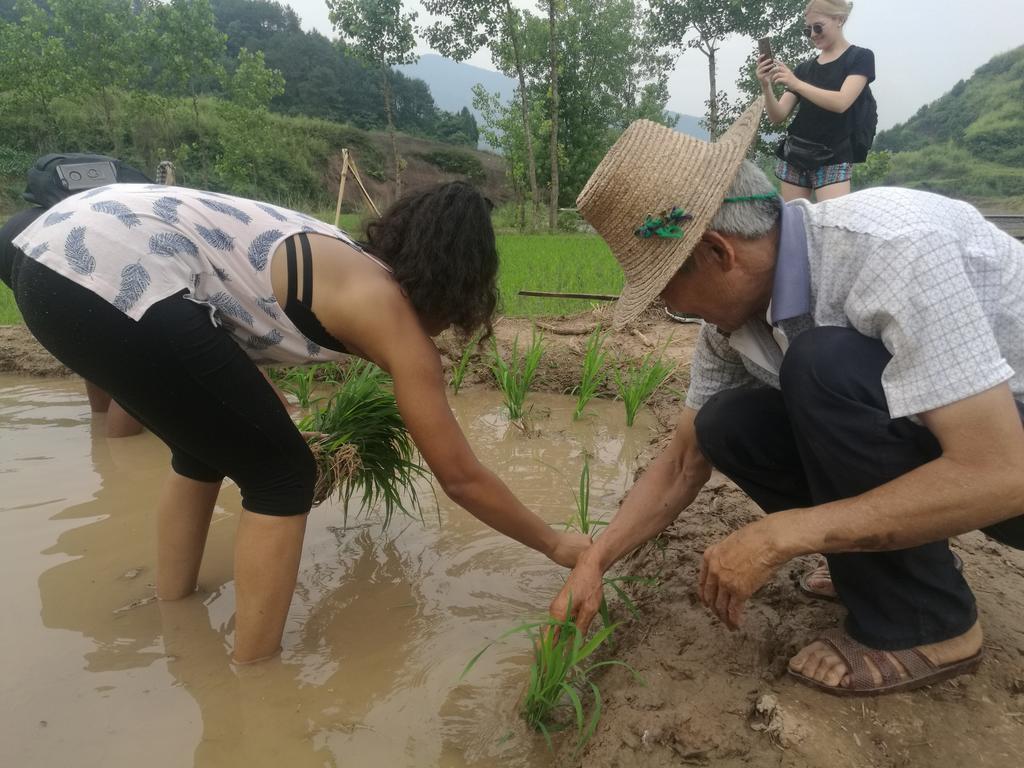 Zhangjiajie Jijiehao Inn Kültér fotó